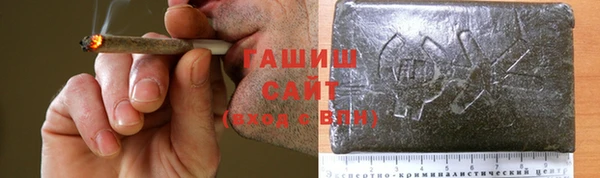 индика Аркадак