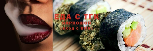 индика Аркадак