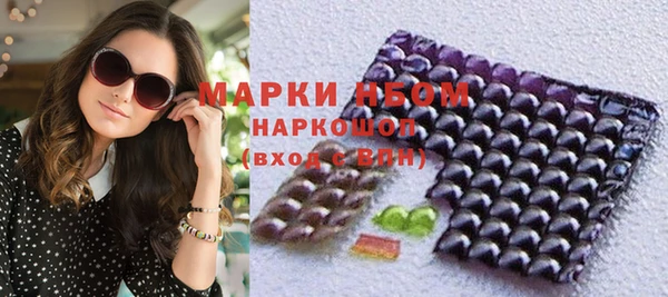 индика Аркадак