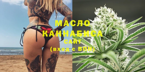 индика Аркадак