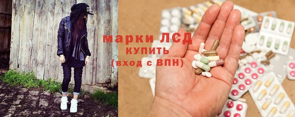 индика Аркадак