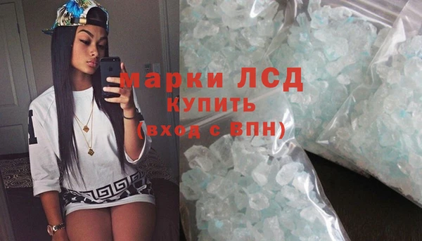 индика Аркадак