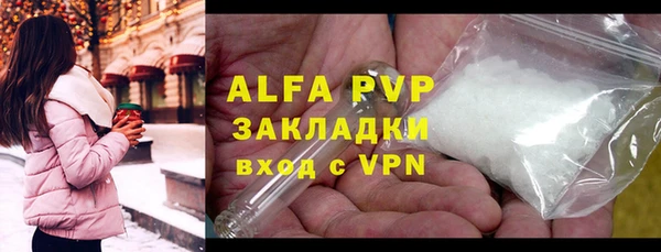 индика Аркадак
