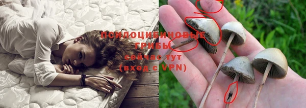 индика Аркадак